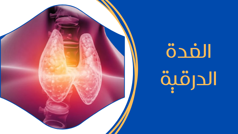 الغدة الدرقية